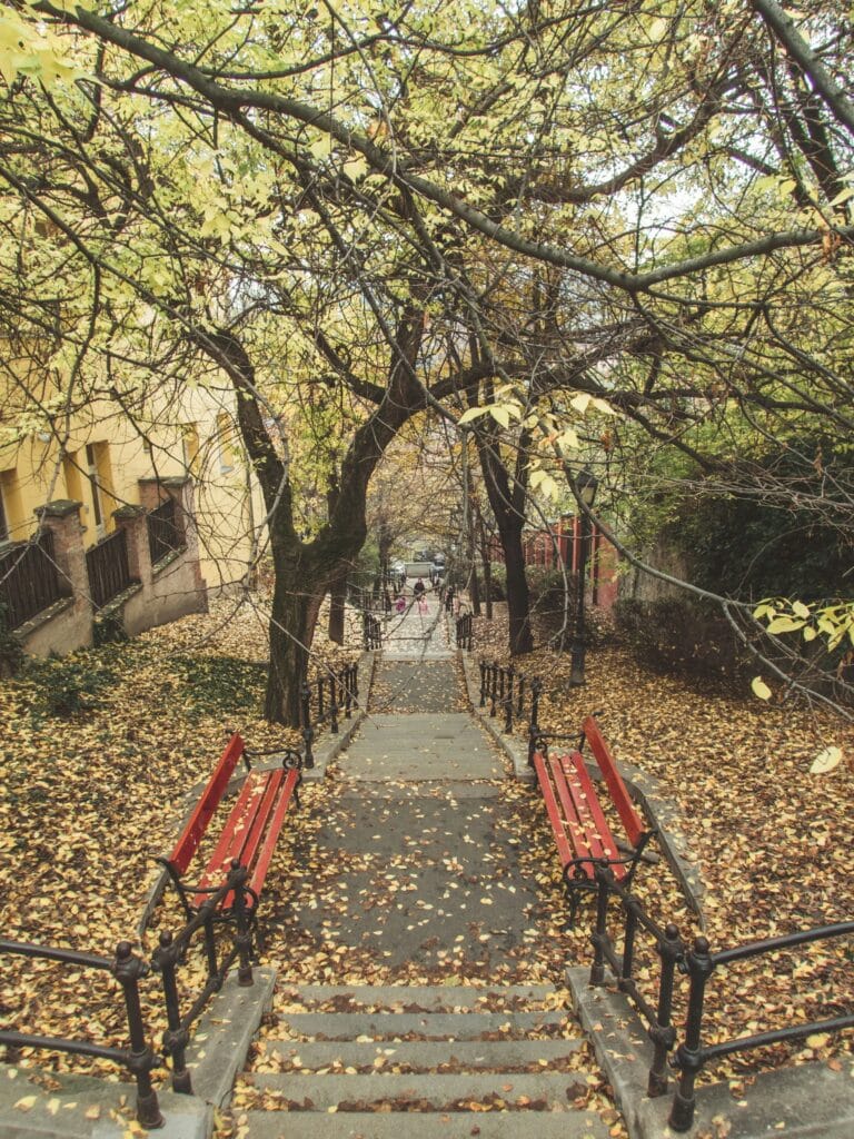 Stone stairs in Budapest covered with autumn leaves and red benches
