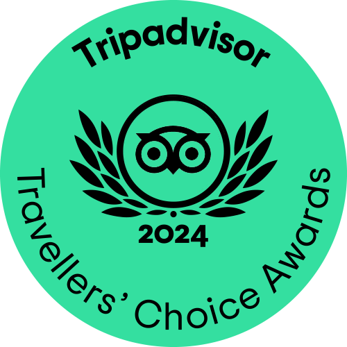 TC_green_winner-gif_LL_2024