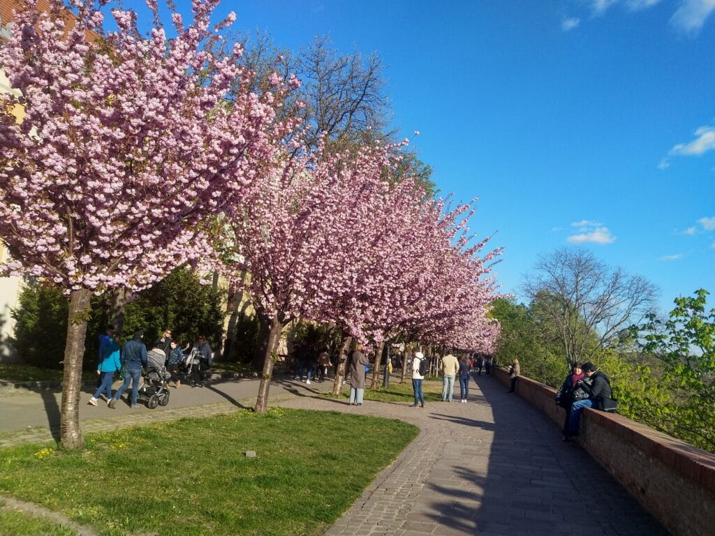 Actividades gratuitas al aire libre en Budapest