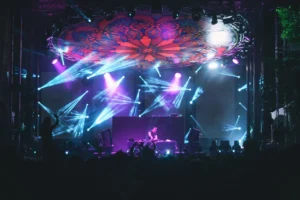 A vibrant stage at a Hungarian music festival, illuminated with purple and blue lights as a DJ performs.